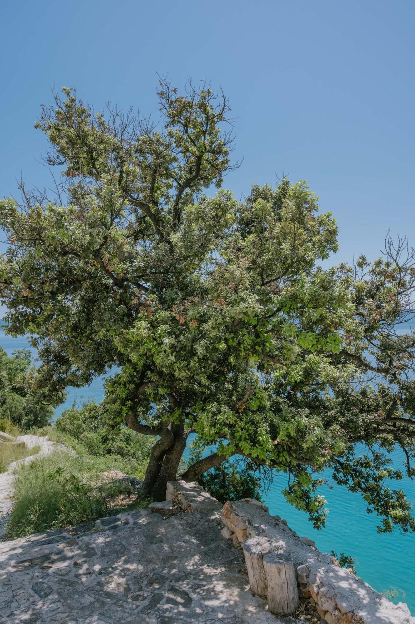 Villa Hidden Gem By Nono Ban Bol Esterno foto